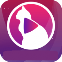 小猫直播 v9.9