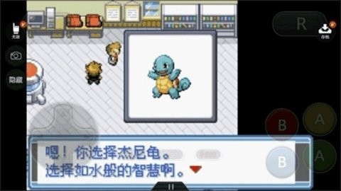 口袋妖怪xy汉化手机版图3