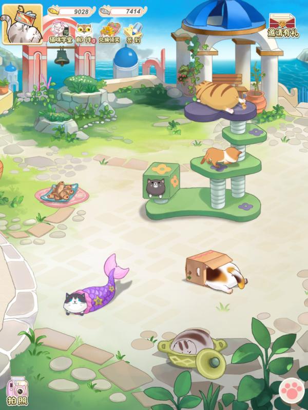 猫宅日记(5)