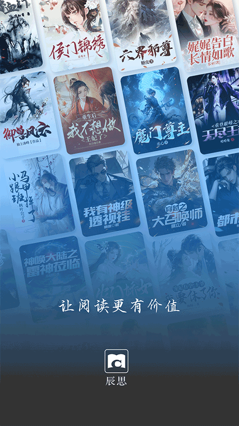 辰思小说图1