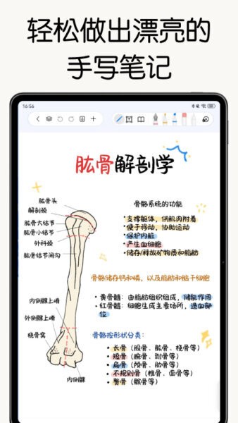 自由笔记安卓直装版(2)