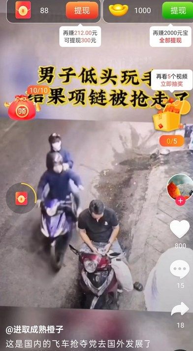 兔米宝(1)