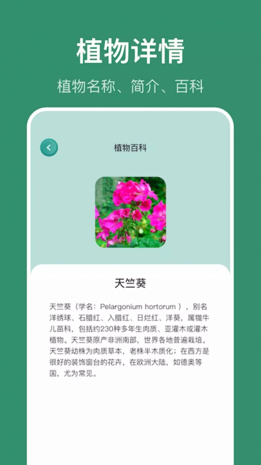小黄养花植物识别安卓版图4