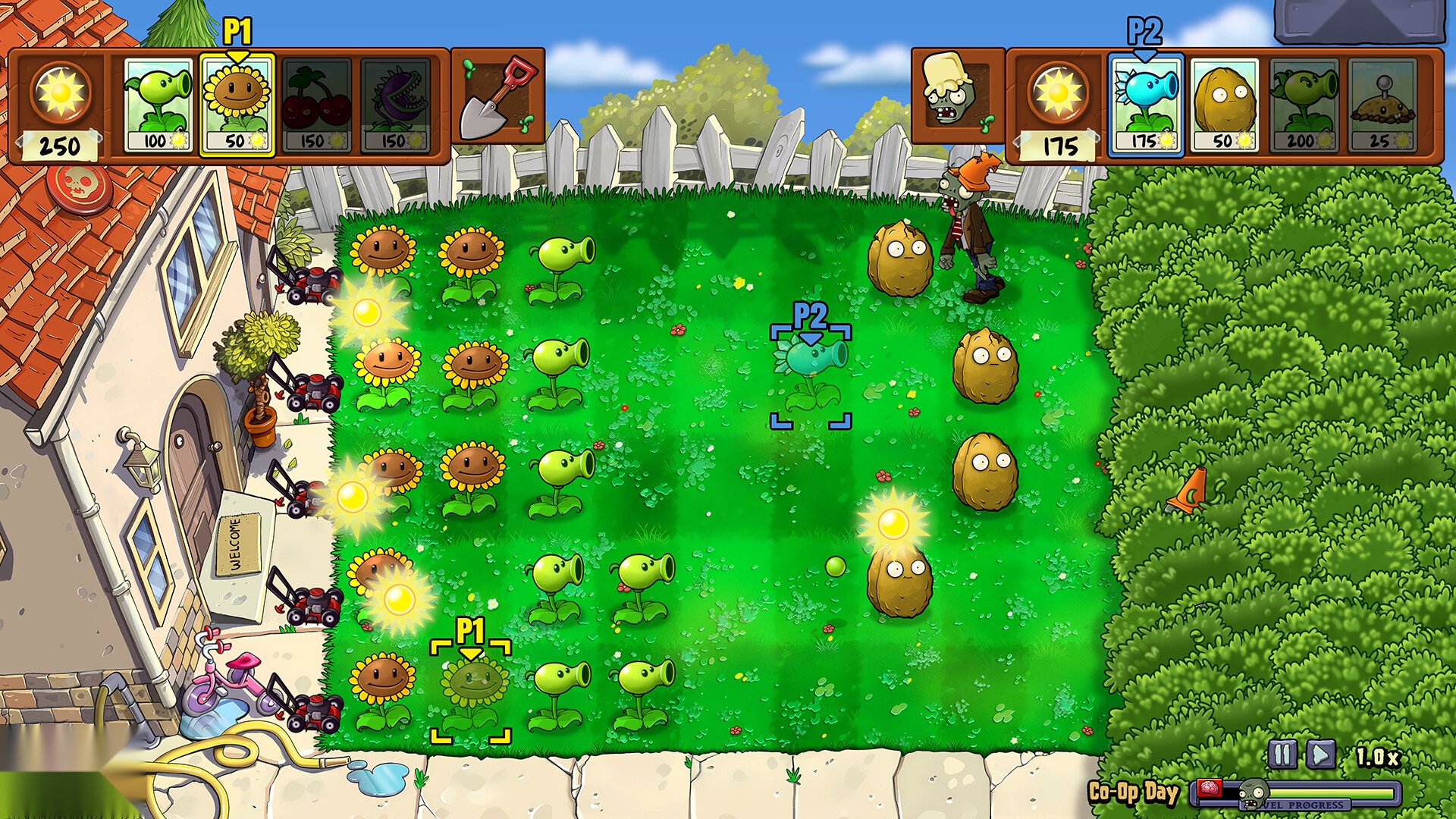 植物大战僵尸重植版图2