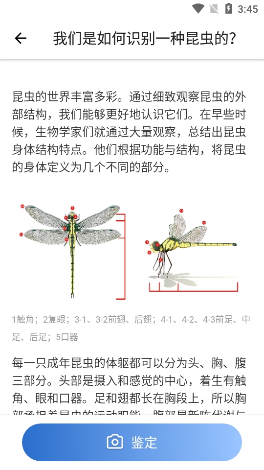 昆虫识别软件免费版图1