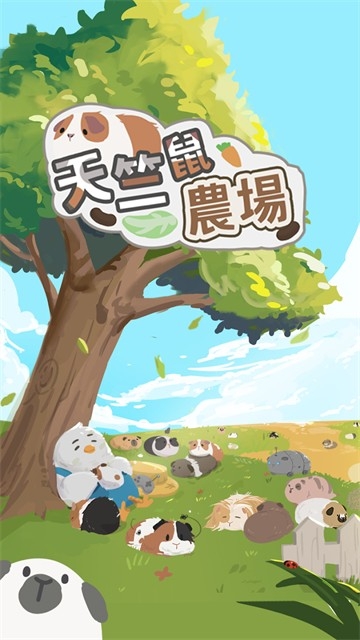 天竺鼠农场安装(4)