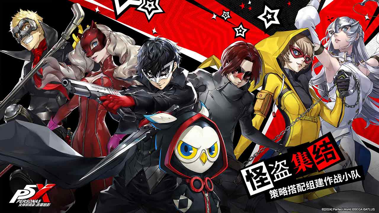 P5X图5