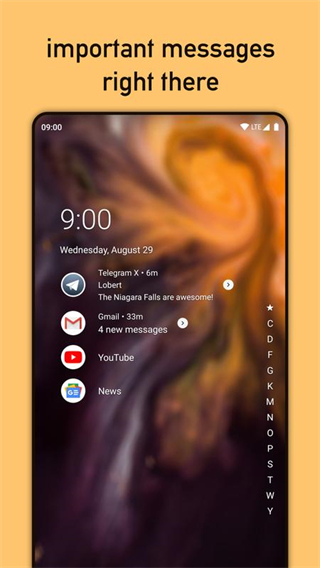 niagara launcher图2