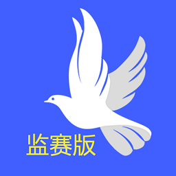 鸽派监赛版 