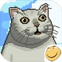 大千世界最新版 V9.102