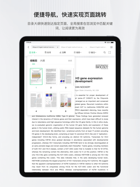 小绿鲸(3)