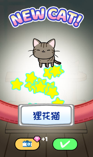 快乐撸猫1