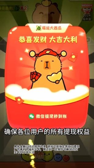 福运大西瓜(2)