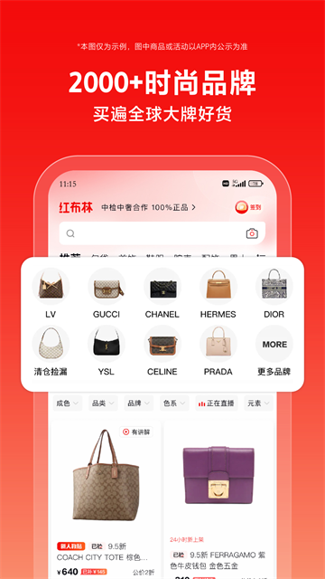 红布林(2)