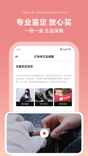 红布林(3)