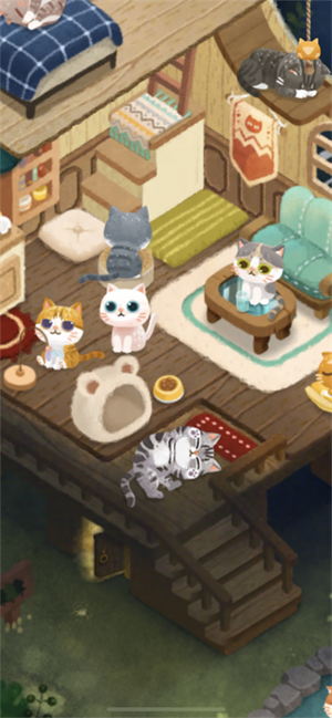 猫咪密林(3)