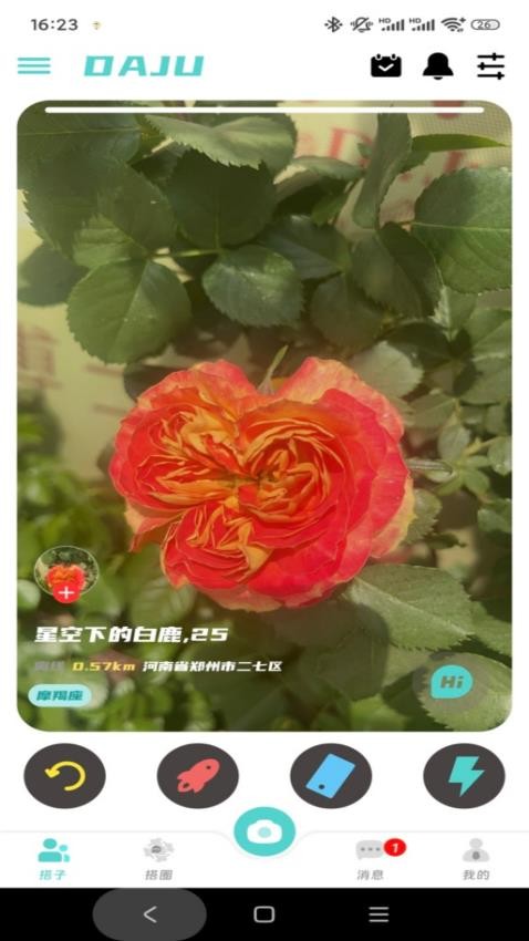 搭聚图4