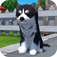 美国zoom V1.0.360