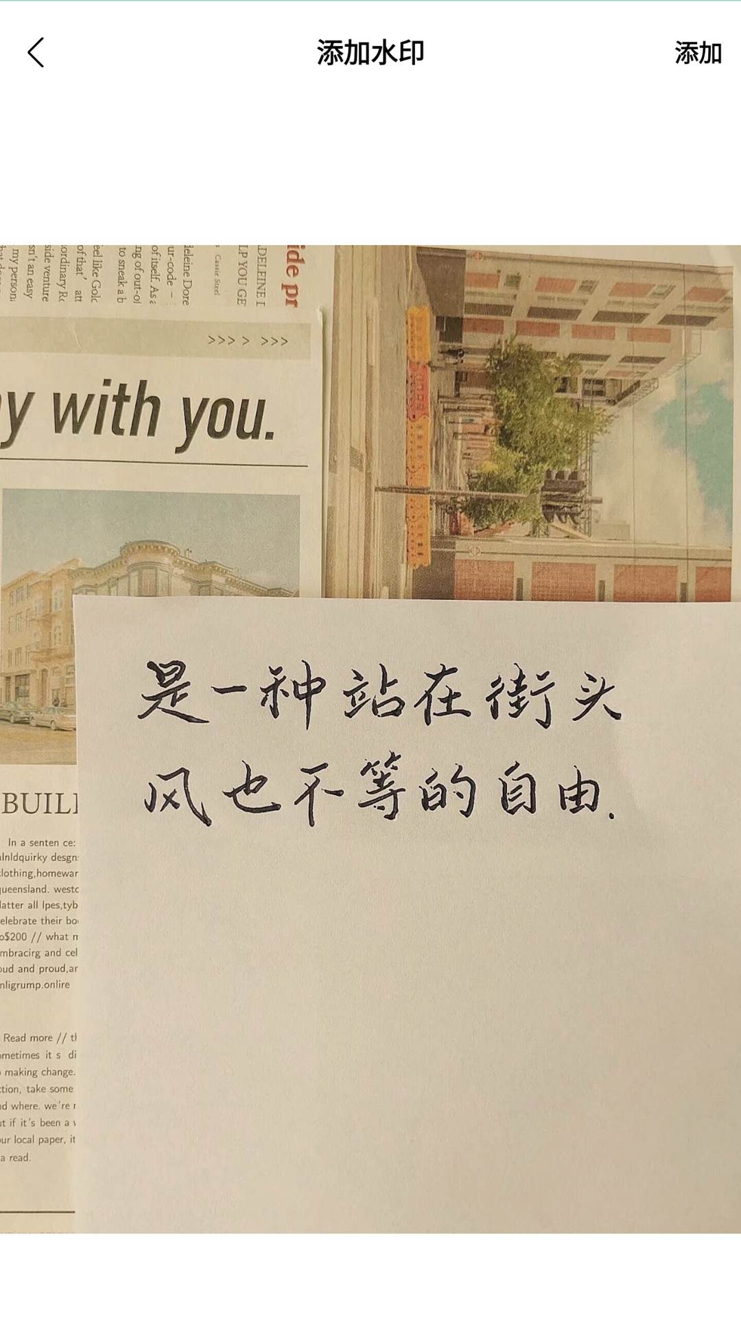 色虎视频图3