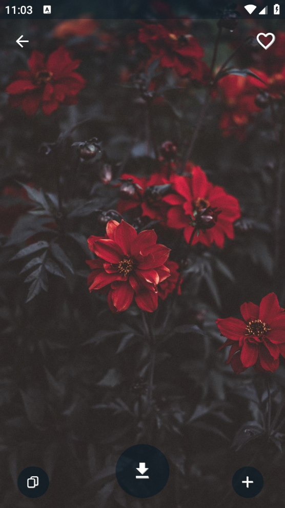 4K Wallpapers(2)