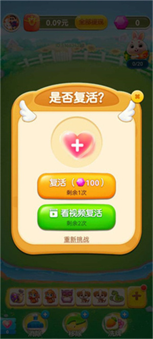 狗狗乐园(2)