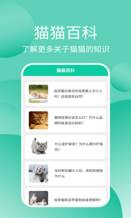 猫猫交流器安卓直装版图4