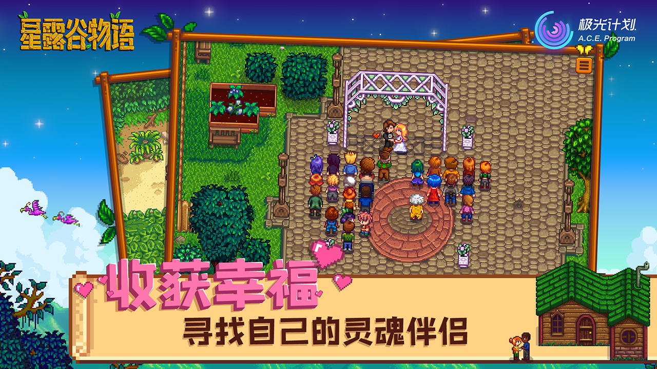星露谷物语(5)