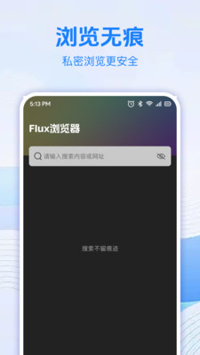 Flux浏览器手机最新版图2