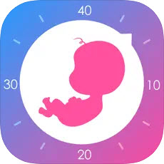 妈妈网孕育最新版