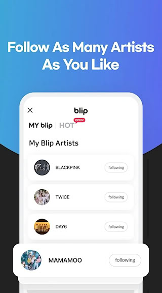 blip图1