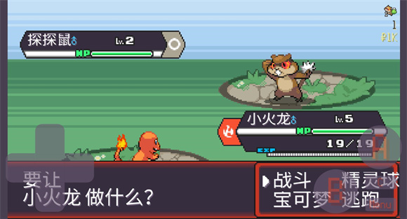 宝可梦肉鸽(2)