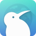 KiwiBrowser浏览器本最新免费版