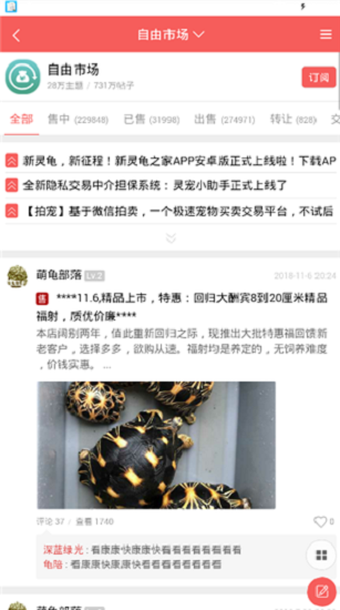 灵龟之家自由市场图2