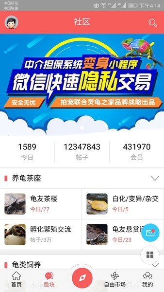 灵龟之家自由市场图3