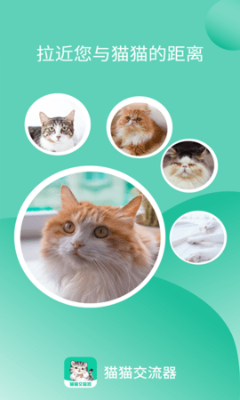 猫猫交流器安卓直装版图1