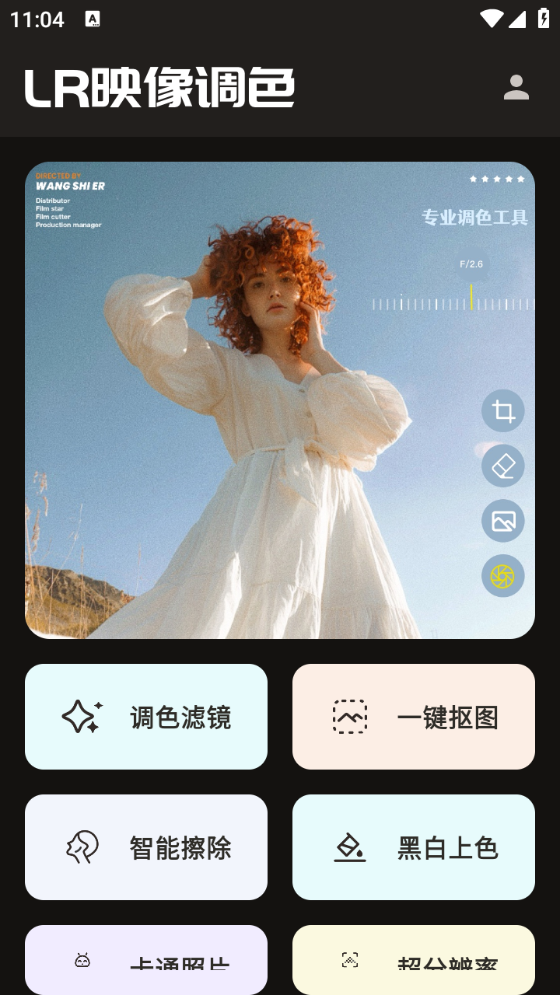 LR图片映像调色图2