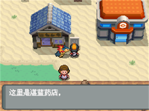 口袋妖怪心灵之金正版图5