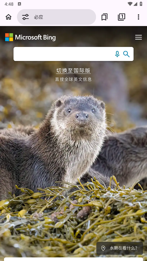 EX浏览器图3