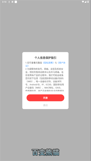 百变熊猫(3)