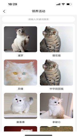 宠哩吖商城通用版图3