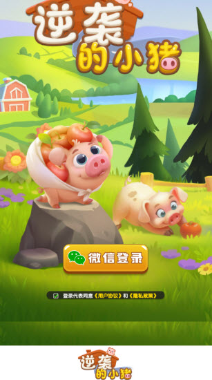 逆袭的小猪(1)