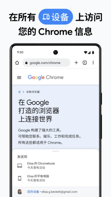 chrome图1