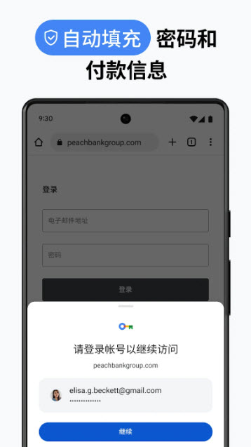 chrome图4
