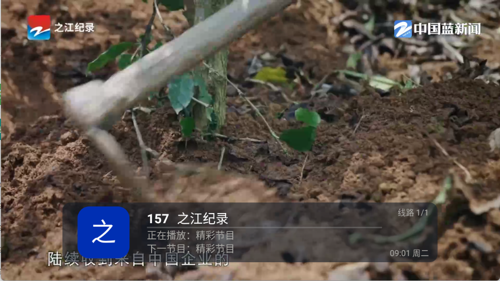 云光TV