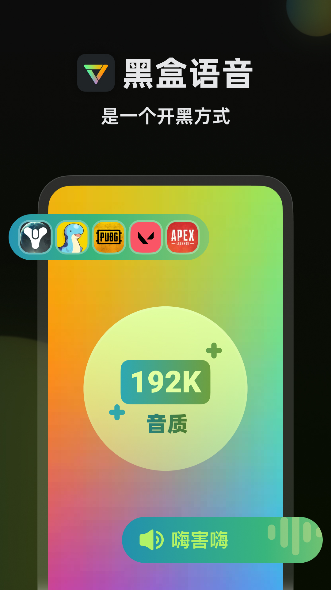 黑盒语音-图1