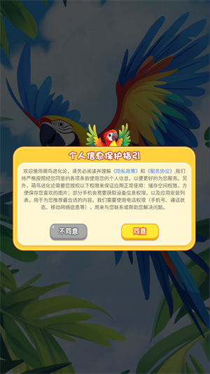 萌鸟进化论