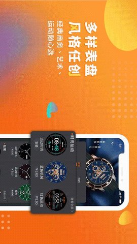 腕宝图5