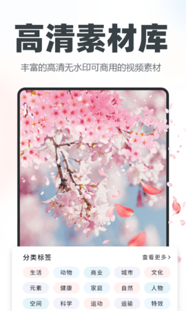 逆象提词(5)