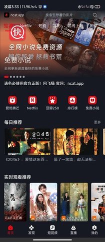网飞猫(2)