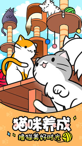 猫咪公寓(4)